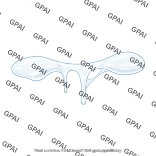 Cervical mucus