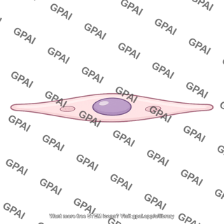 Epithelial cell thin descending limb