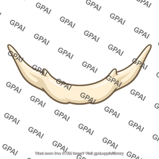 Hyoid bone