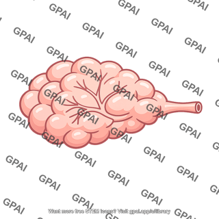 Salivary gland