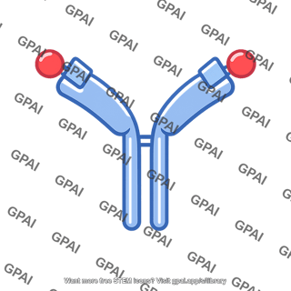 Antibody icon