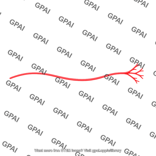 Nerve fiber with terminals