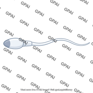 Spermatozoon