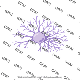 Amacrine cell