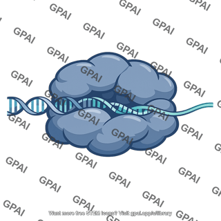 Rna polymerase 2