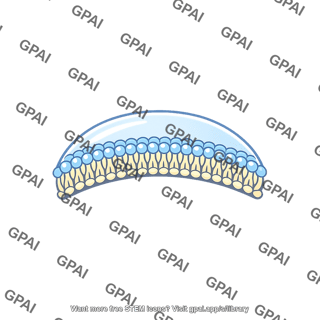 Membrane patch