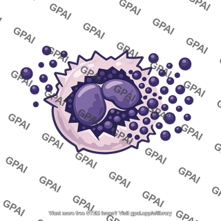 Basophil ruptured