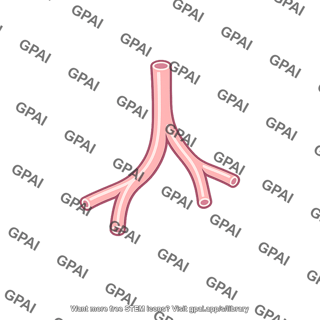 Branching capillary