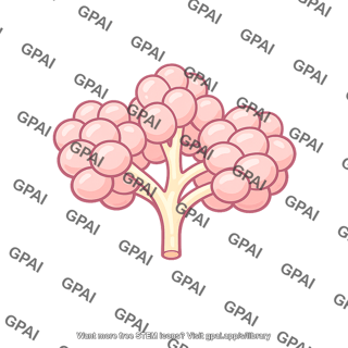 Brunners gland