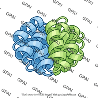 Chorionic gonadotropin