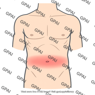 Visceral pain referred map