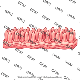 Jejunal mucosa