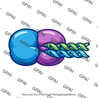 Hypoxia inducible factor active