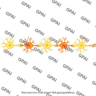 Polysynaptic circuit