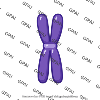 Single condensed chromosome