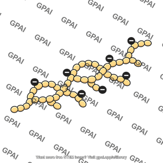 Polyanionic dextran