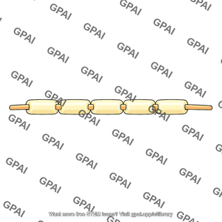 Myelinated fiber