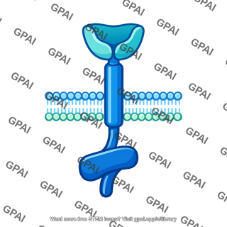 Cell membrane receptor