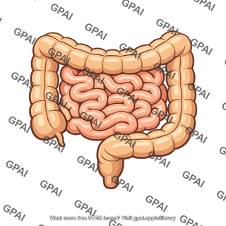 Intestinal tract