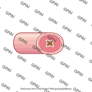 Ureter cross section