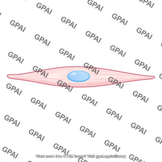 Conducting cell
