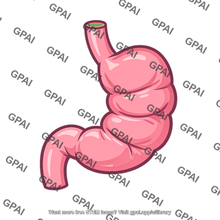Stomach contracting