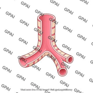 Respiratory tract airway