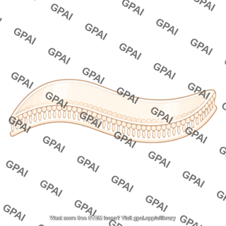 Membrane
