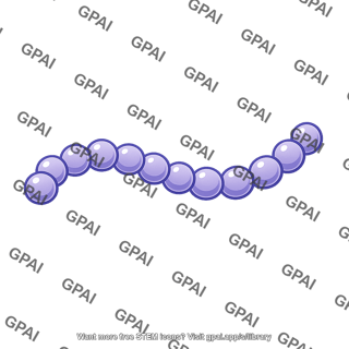 Streptococcus chain