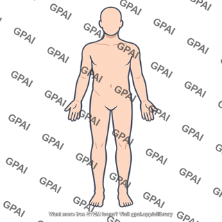 Human body