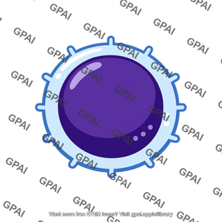 Cytotoxic t cell