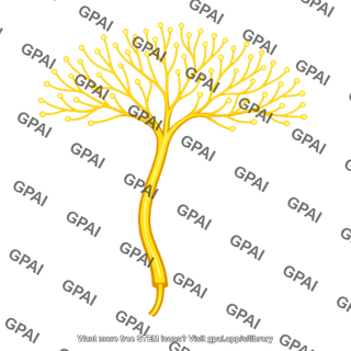Arborizing pain fiber