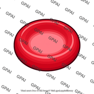 Red blood cell macrocytic