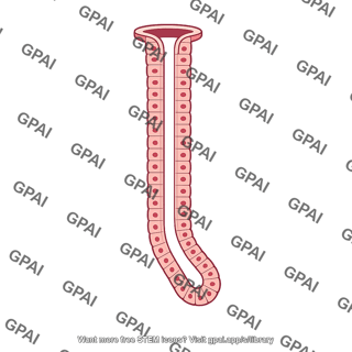 Tubular gland