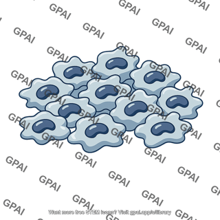 Macrophage mass
