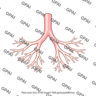 Breast duct
