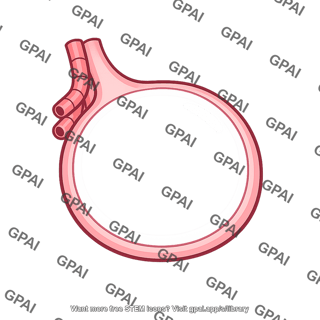 Alveolus overstretched