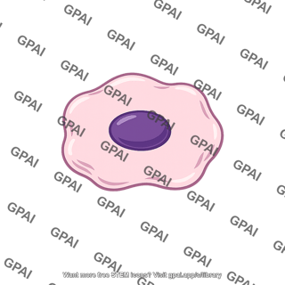 Epithelial cell sloughed