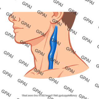 Neck vein distended