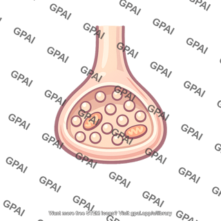 Synaptic terminal facilitator