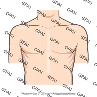 Chest wall