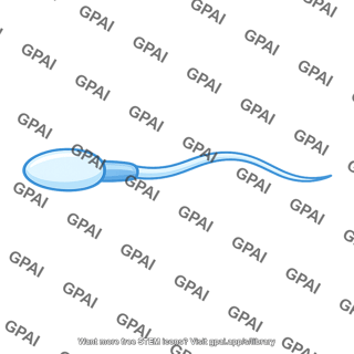 Sperm cell