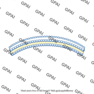 Rod outer membrane