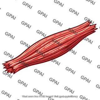 Meat fiber