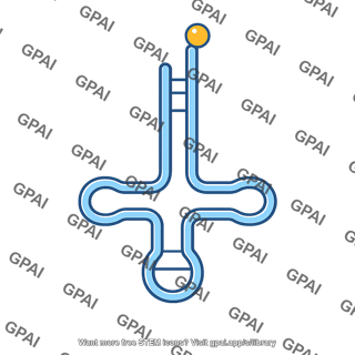 Transfer rna amino acid loaded