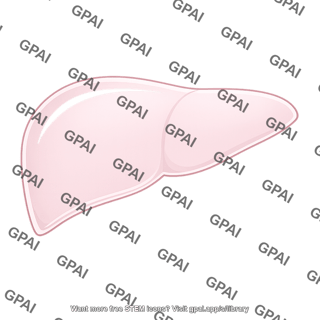 Liver capsule