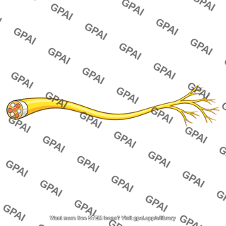 Skeletal motor nerve