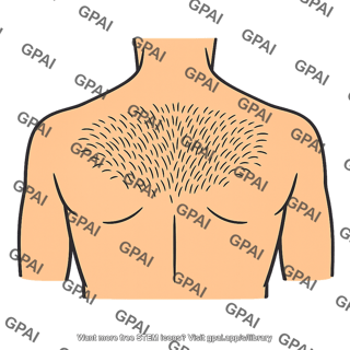 Back hair