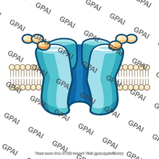 Acetylcholine gated channel open