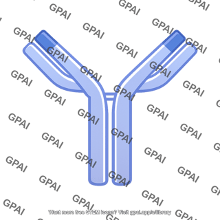 Plasma antibody